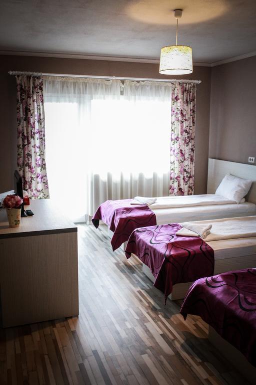 Pensiunea Oxana Lipova Ruang foto