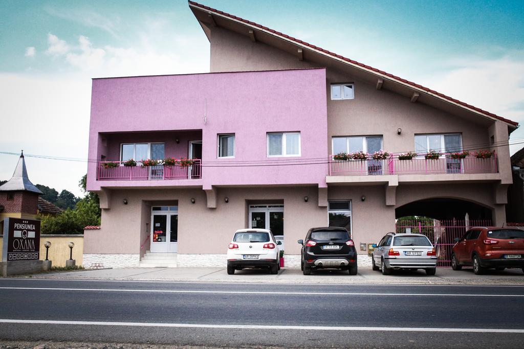 Pensiunea Oxana Lipova Bagian luar foto